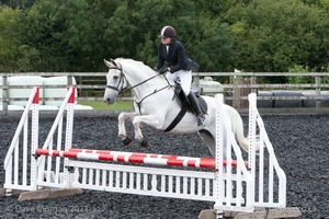 Class 6 - Fences not above 2'9